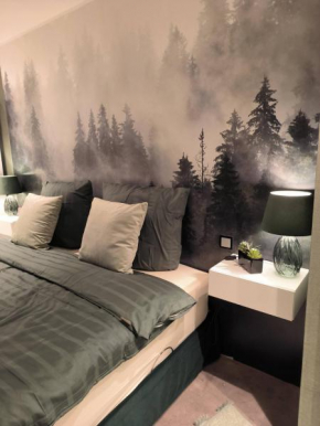 Harz High End Fewo Exklusiv 5 Sterne DTV
